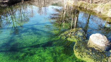 Undeveloped Land for sale in Bandera County, Texas