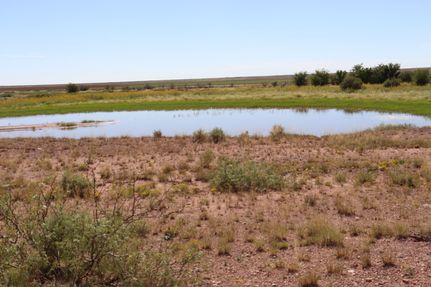 House in Debaca County, New Mexico