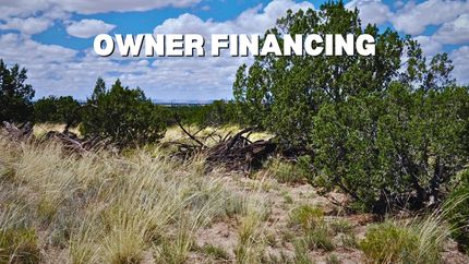 Undeveloped Land in Apache County, Arizona