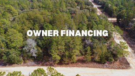 Undeveloped Land in Putnam County, Florida