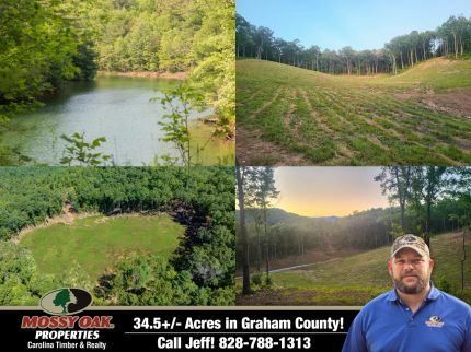 Hunting Property in Graham County, North Carolina