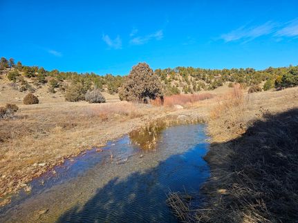 Riverfront Property in Las Animas County, Colorado