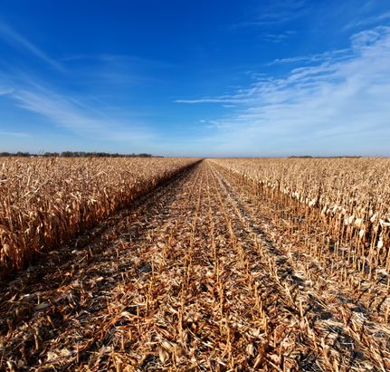 Land in Clay County, Minnesota