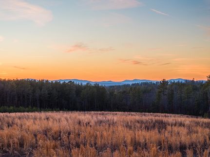 Undeveloped Land in Albemarle County, Virginia