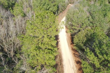 Timberland Property in Washington Parish, Louisiana