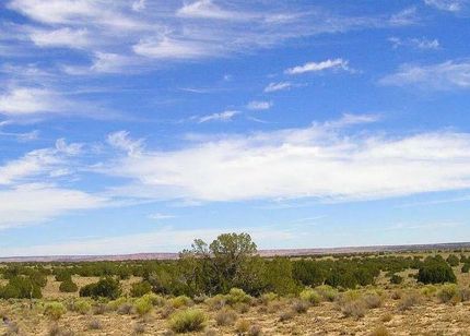 Undeveloped Land in Apache County, Arizona