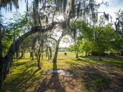 Farm and Ranch in Brazoria County, Texas