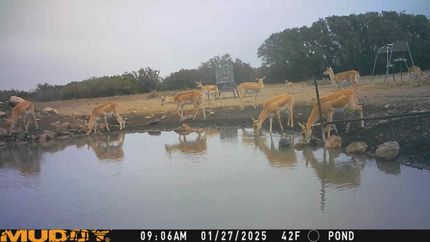 Undeveloped Land for sale in Edwards County, Texas