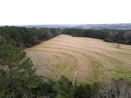 Undeveloped Land in Coffee County, Alabama
