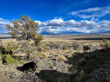 Undeveloped Land for sale in Elko County, Nevada
