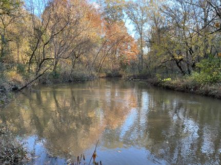 Land for sale in Macon County, Alabama