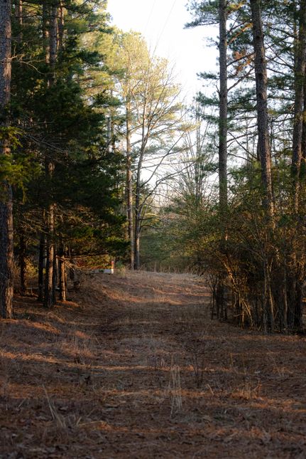 Farm and Ranch for sale in Polk County, Arkansas