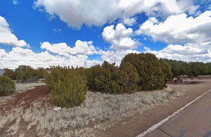 Undeveloped Land in Navajo County, Arizona