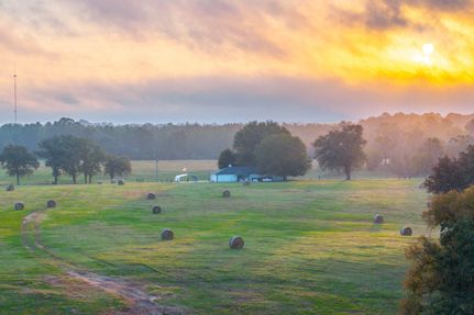Farm and Ranch in Anderson County, Texas