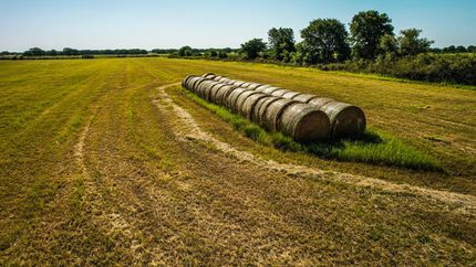Farm and Ranch in Eastland County, Texas