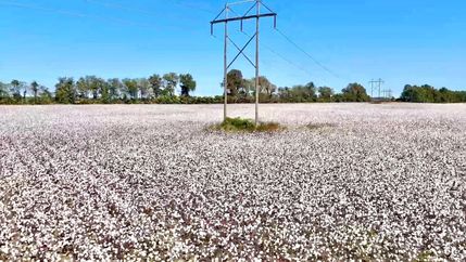 Farm and Ranch in Greene County, Arkansas