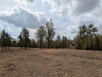 Timberland Property in Columbia County, Florida