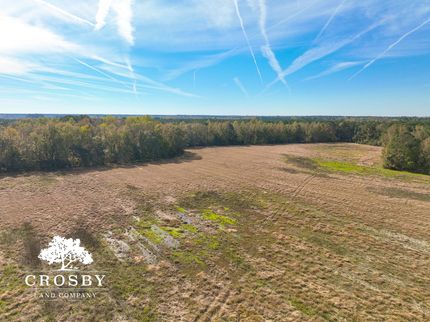 Farm and Ranch in Bamberg County, South Carolina
