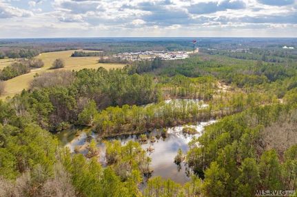 Undeveloped Land in Greensville County, Virginia