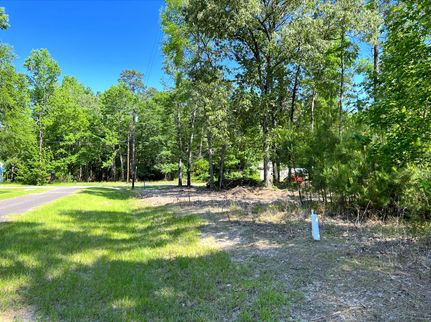Undeveloped Land in Trinity County, Texas