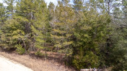 Undeveloped Land in Putnam County, Florida