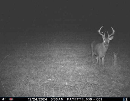 Timberland Property in Fayette County, Illinois