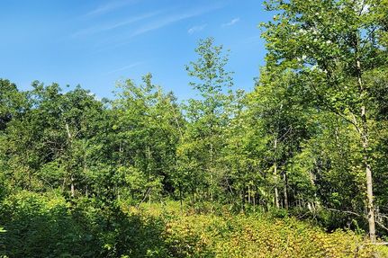 Hunting Property in Dunn County, Wisconsin