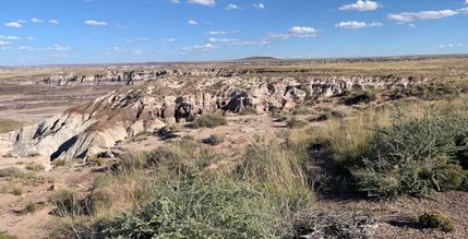 Undeveloped Land in Apache County, Arizona
