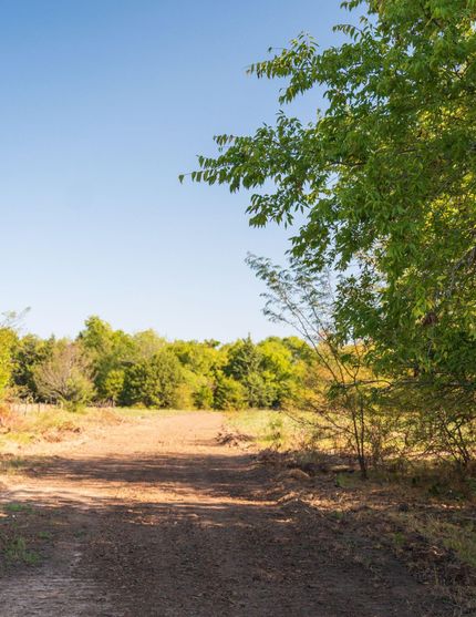 Timberland Property for sale in Fannin County, Texas