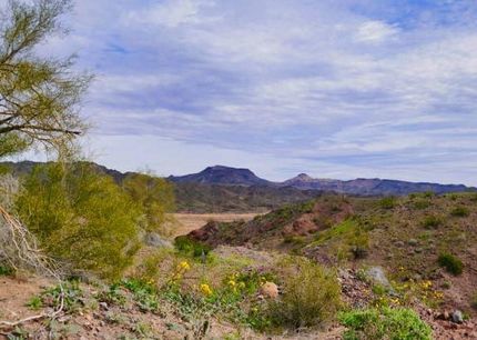 Undeveloped Land in Presidio County, Texas