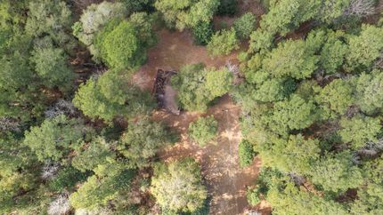 Farm and Ranch for sale in Polk County, Texas