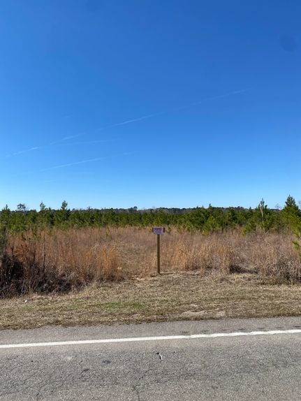 Land for sale in Clarendon County, South Carolina