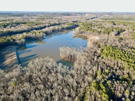 Timberland Property for sale in Madison County, Mississippi