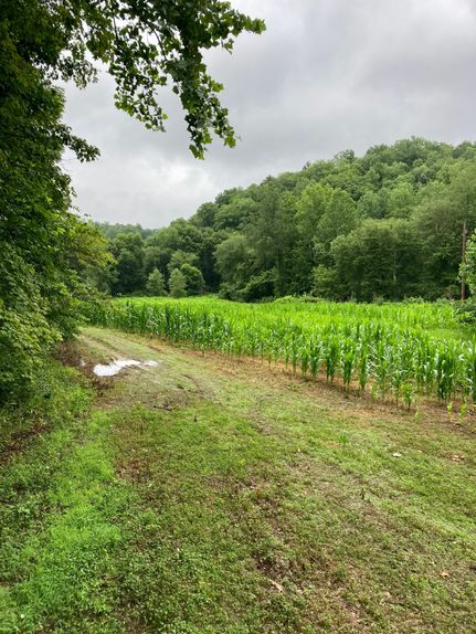 Land in Wolfe County, Kentucky