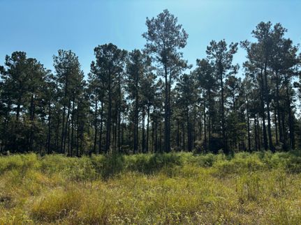 Farm and Ranch for sale in Trinity County, Texas