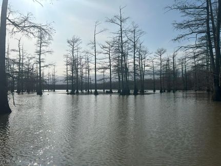 Farm and Ranch in Bolivar County, Mississippi
