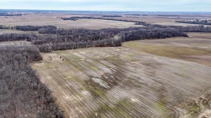 Undeveloped Land in Gallatin County, Illinois