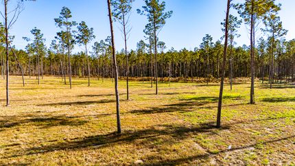 Land for sale in Polk County, Texas