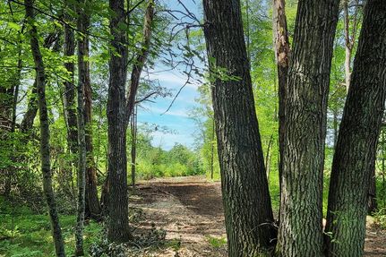 Hunting Property in Dunn County, Wisconsin