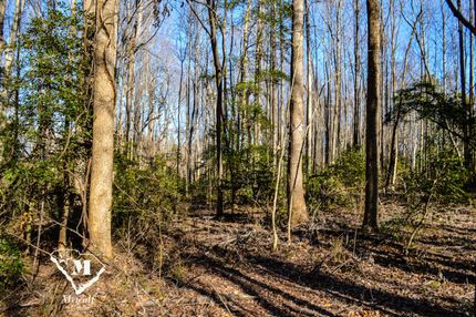 Land for sale in Spartanburg County, South Carolina