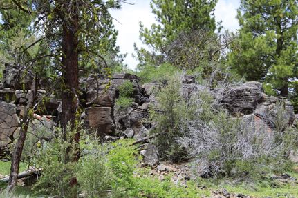 Undeveloped Land in Modoc County, California