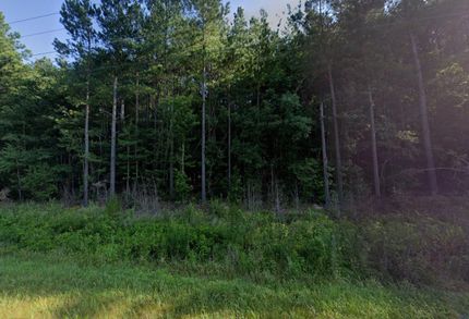 Undeveloped Land in Benton County, Tennessee