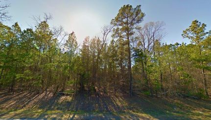 Undeveloped Land in Marion County, Texas