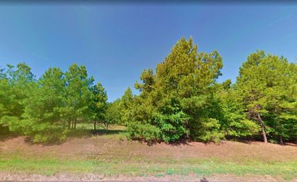 Undeveloped Land in Marion County, Texas