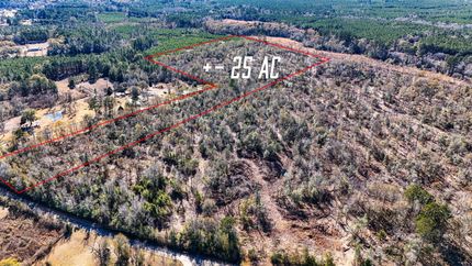 Undeveloped Land in Jasper County, Texas