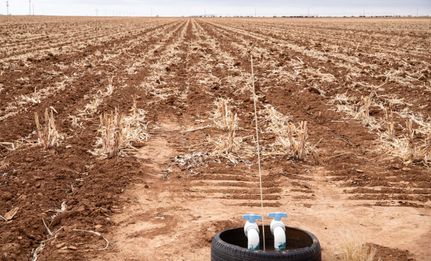 Farm and Ranch in Hale County, Texas
