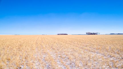 Undeveloped Land in Clay County, Iowa