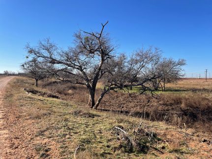 Farm and Ranch for sale in Scurry County, Texas