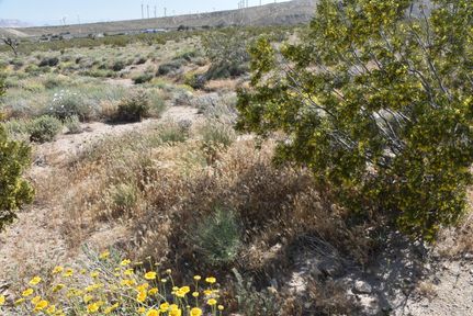 Undeveloped Land in Kern County, California