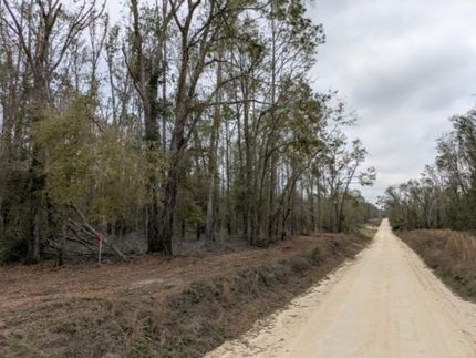 Farm and Ranch in Suwannee County, Florida